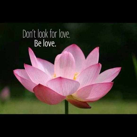 Meet your Posher, Rachel - Picture 1 of 1